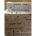 Exporting Good Quality Yam (Dia: 2-3cm)